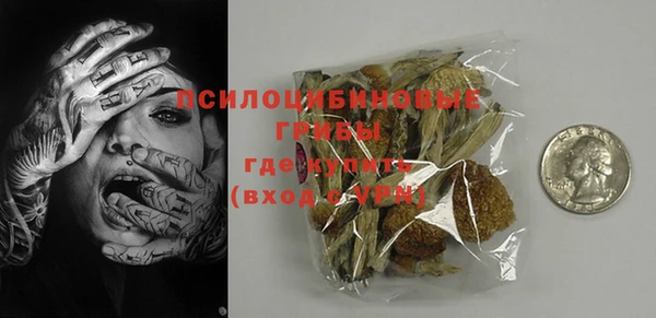 дживик Нея
