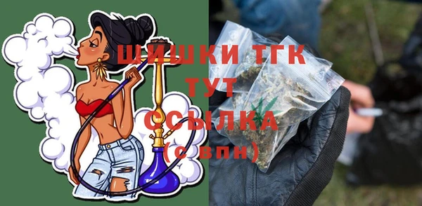 дмт Новозыбков