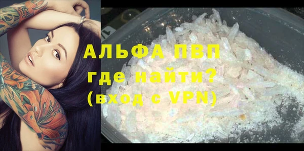 дмт Новозыбков