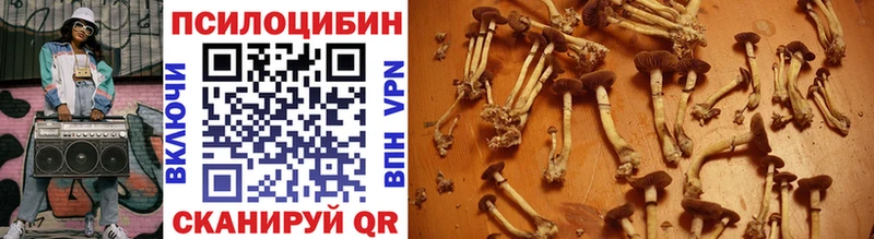 Псилоцибиновые грибы Psilocybe  ссылка на мегу tor  Краснодар 