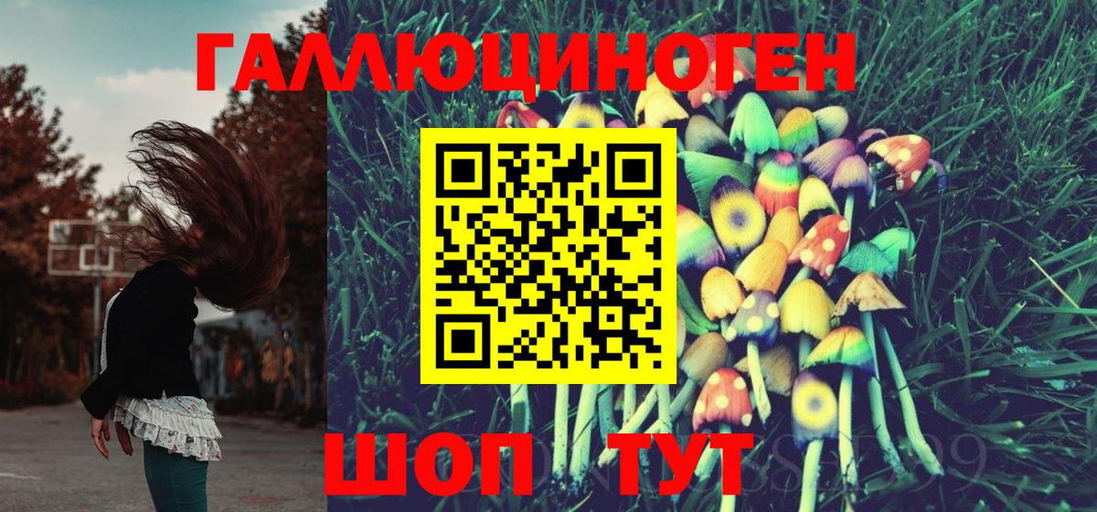 Псилоцибиновые грибы MAGIC MUSHROOMS  сколько стоит  Краснодар 