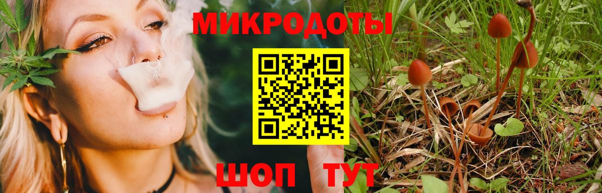 Галлюциногенные грибы Magic Shrooms  Галлюциногенные грибы ЛСД  Вход с VPN  Краснодар 