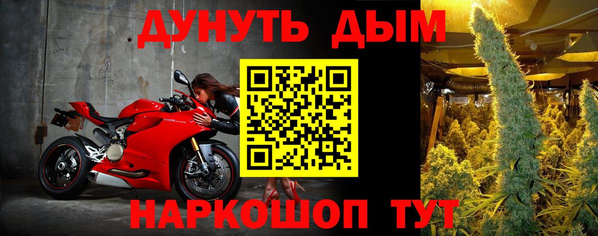 Каннабис ГИДРОПОН  Краснодар  Бошки марихуана конопля  Конопля VHQ 